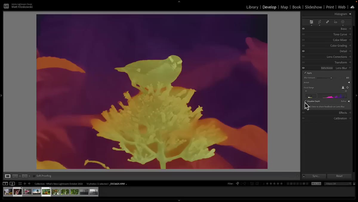 Visualize depth map overlay showing color-coded distance information