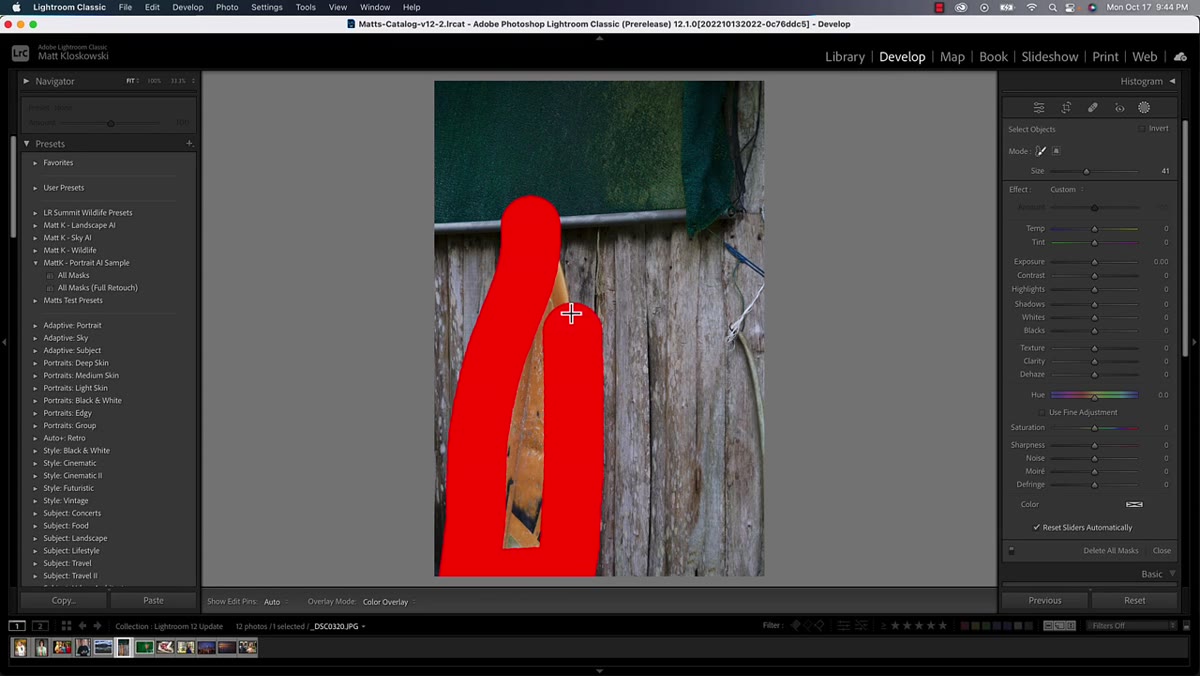 AI brush being scribbled over an object in the photo