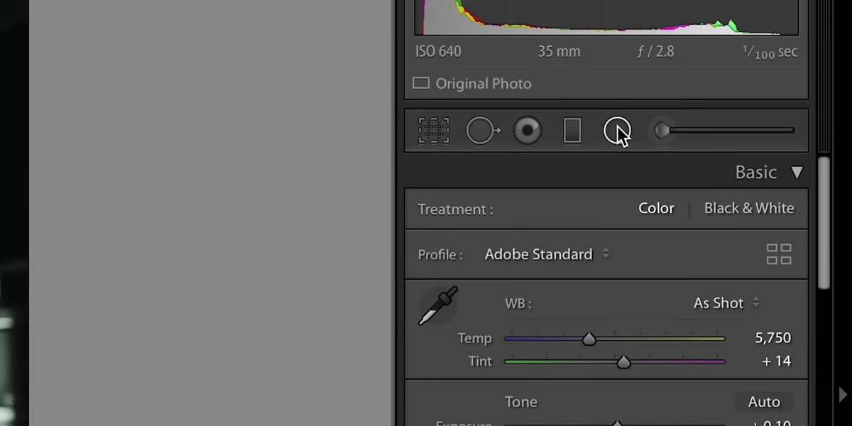 Lightroom masking panel open with radial gradient tool visible
