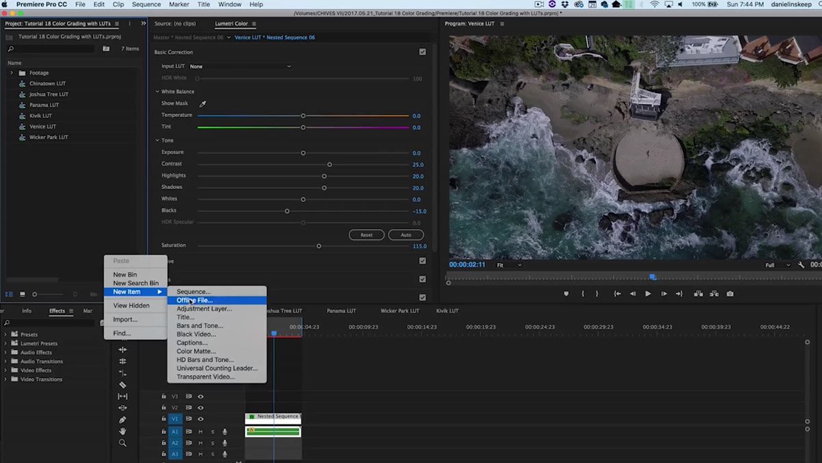 Right-click menu showing New Item and Adjustment Layer options