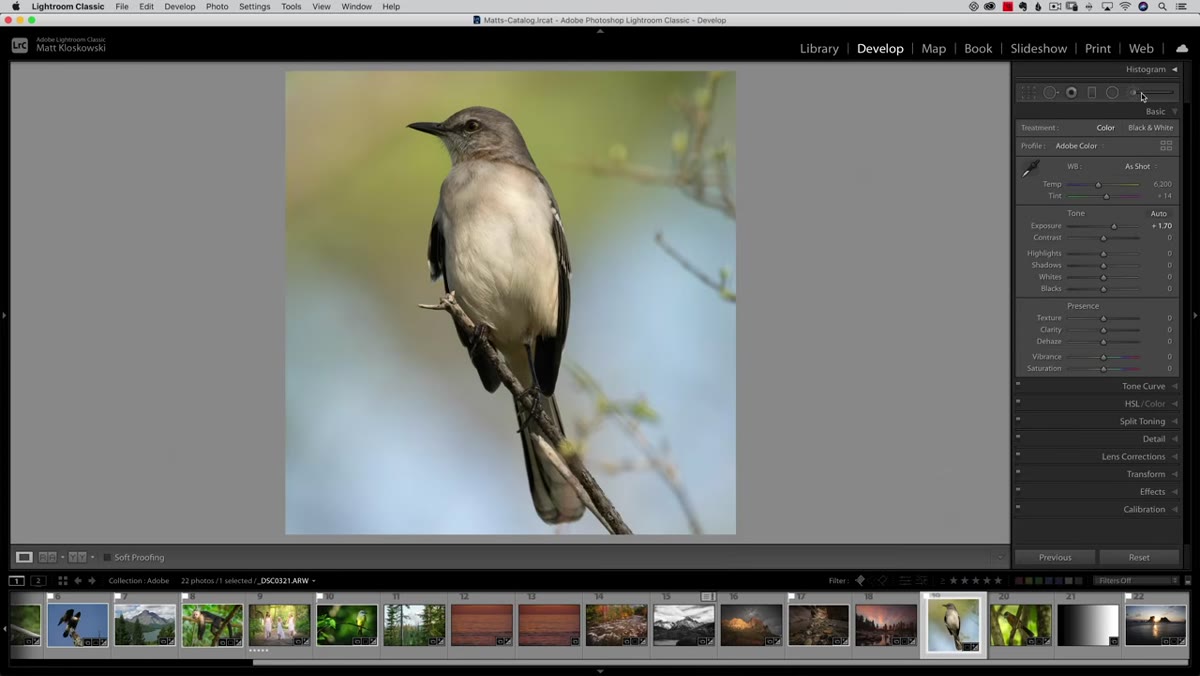Radial Gradient tool selected in Lightroom&rsquo;s toolbar