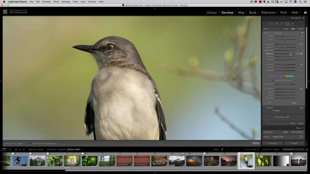 Exposure slider being reduced after initial radial gradient placement