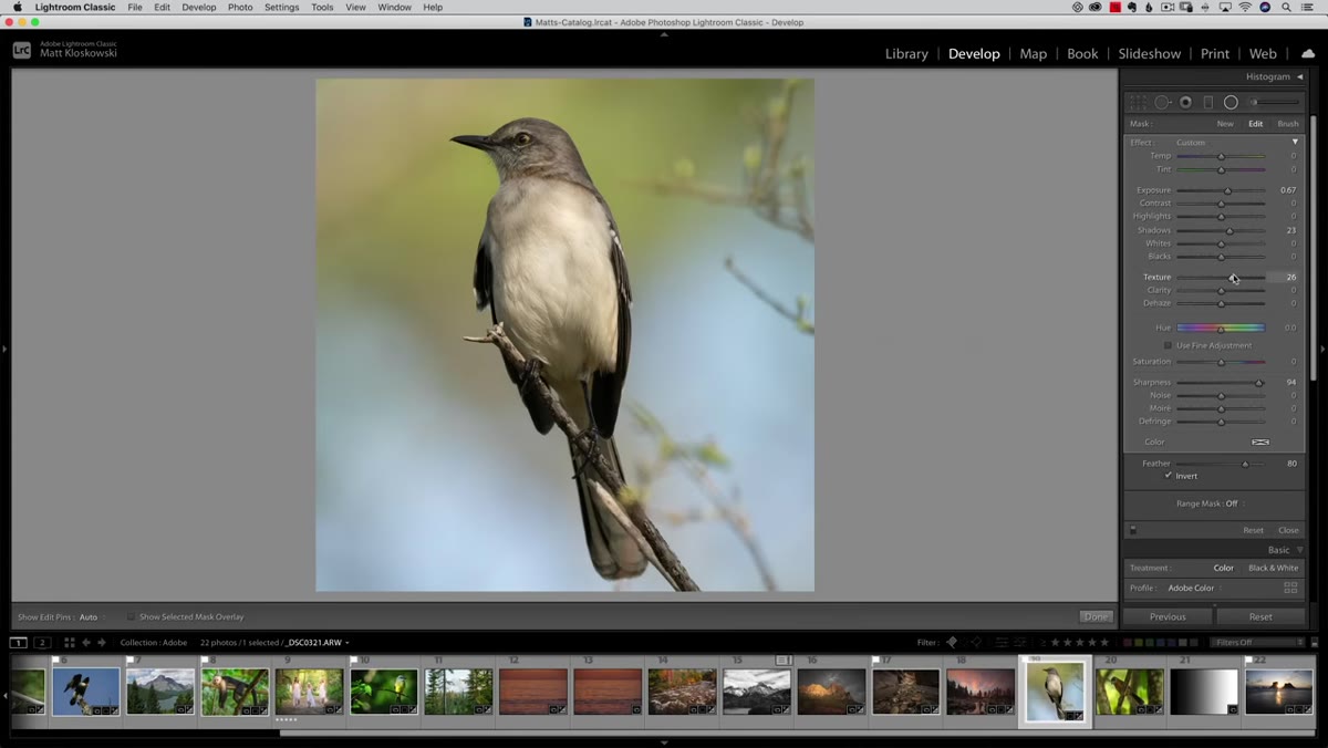 Whites slider being increased inside the radial gradient adjustment