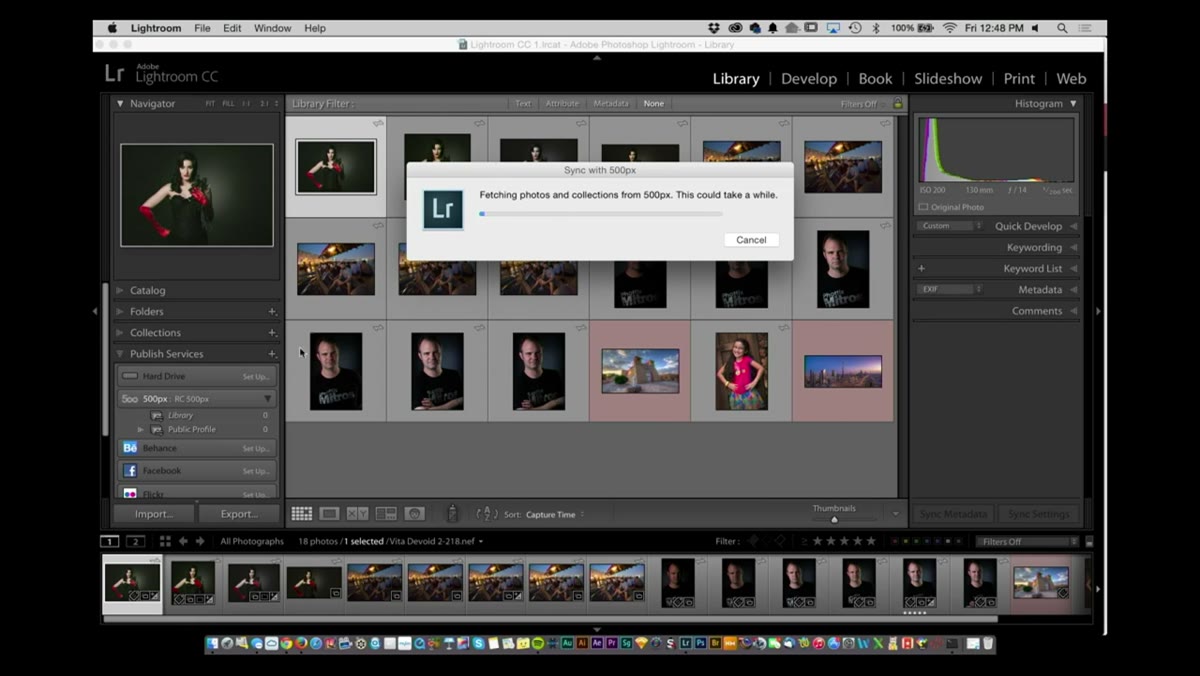 Published collection showing existing 500px images pulled into Lightroom