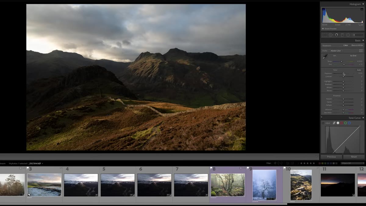 Exposure slider pulled far left, image appearing very dark