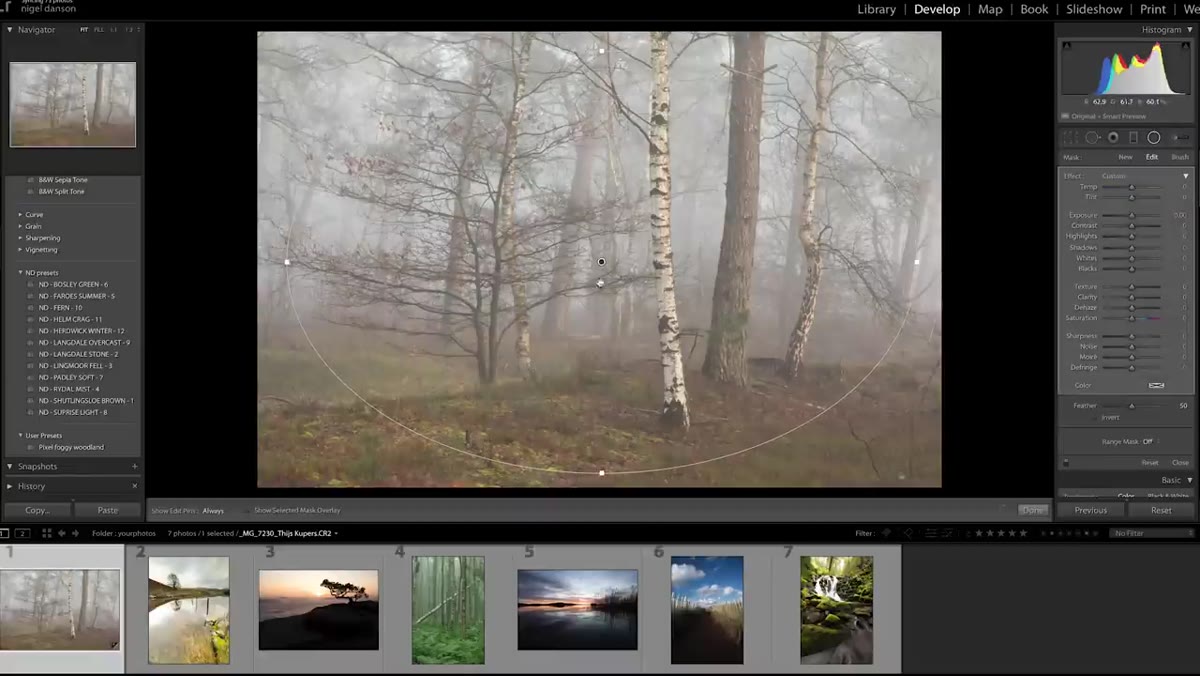 Radial filter applied, darkening the outer edges of woodland shot