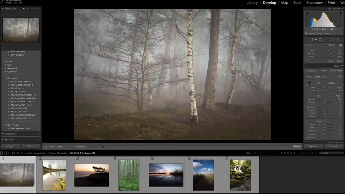 Healing brush removing distracting branch in lower frame
