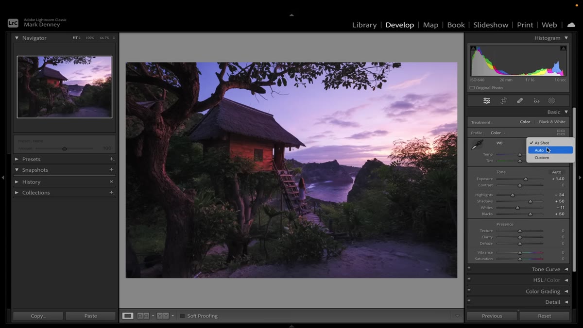 White Balance selector set to Auto in Basic panel