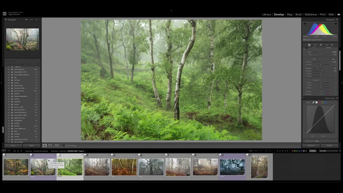 Color grading tools being applied to woodland tones