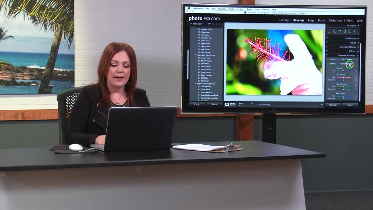 Camera Calibration panel open in Lightroom Develop module