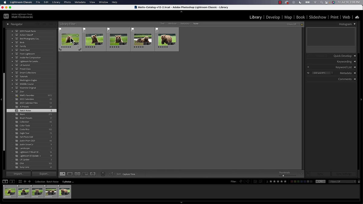 Five-star rating system shown in Lightroom grid view