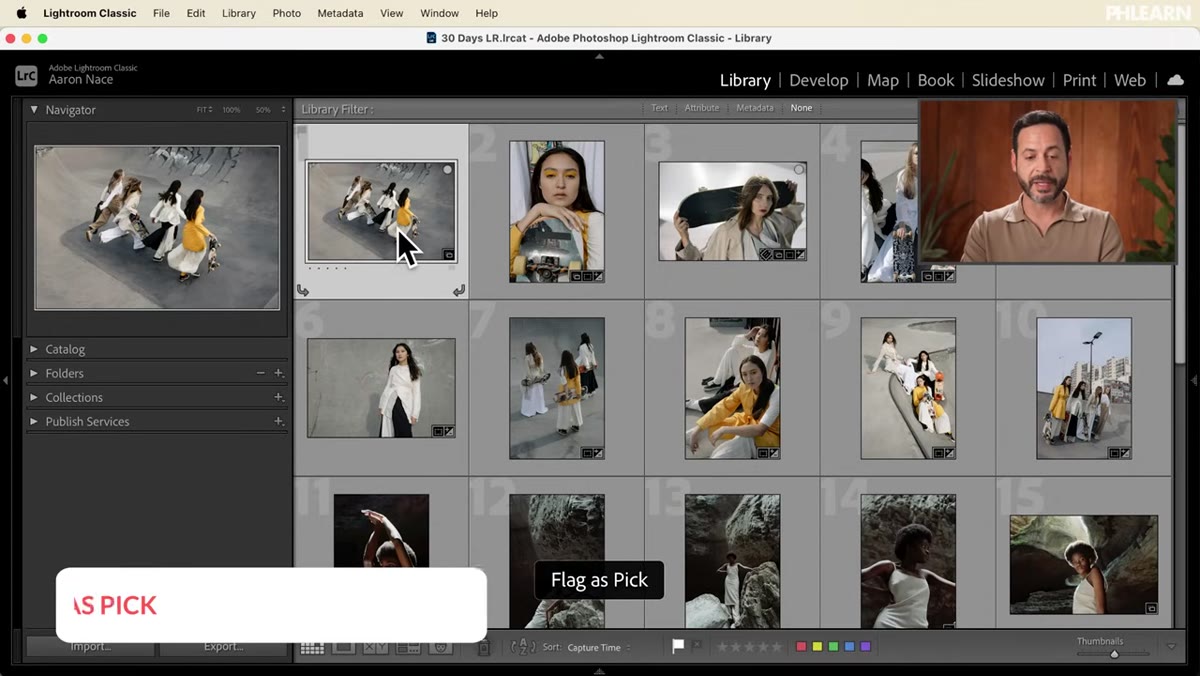 Single image in loop view with a white flag pick indicator visible