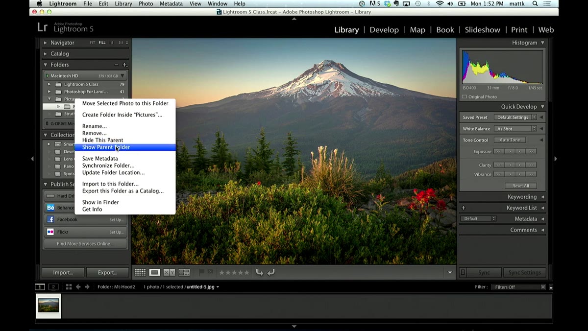 Folder hierarchy expanded to show drive name, Pictures folder, and Mount Hood