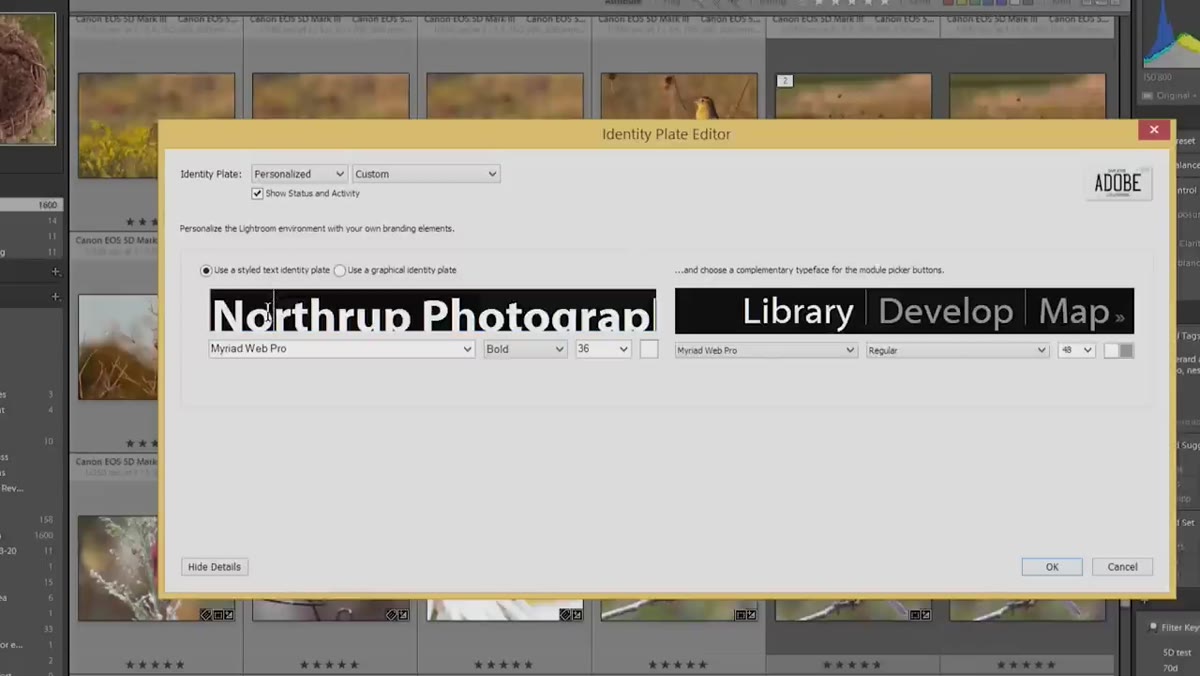 Styled text option selected with font picker visible