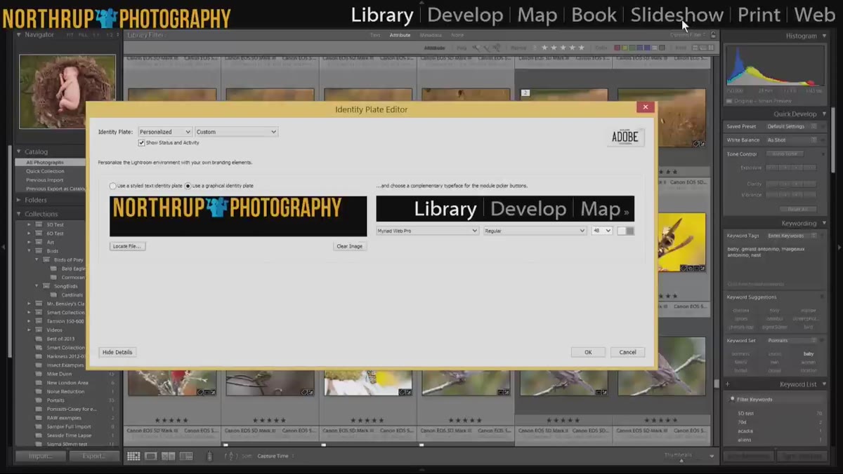 Module picker buttons Library Develop Map shown in larger font size