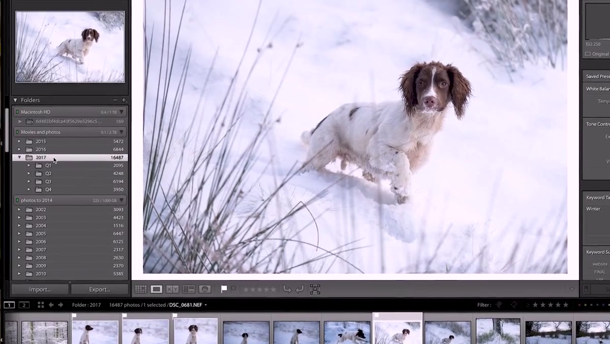 Lightroom folder panel showing years and quarters organized