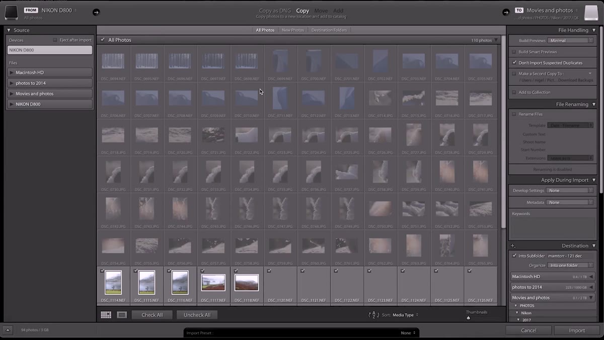 Import dialog showing 1:1 preview option selected