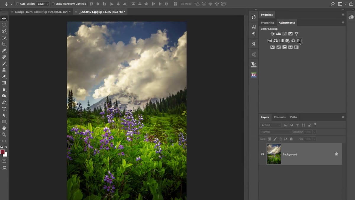 Photoshop adjustments panel with Color Lookup selected