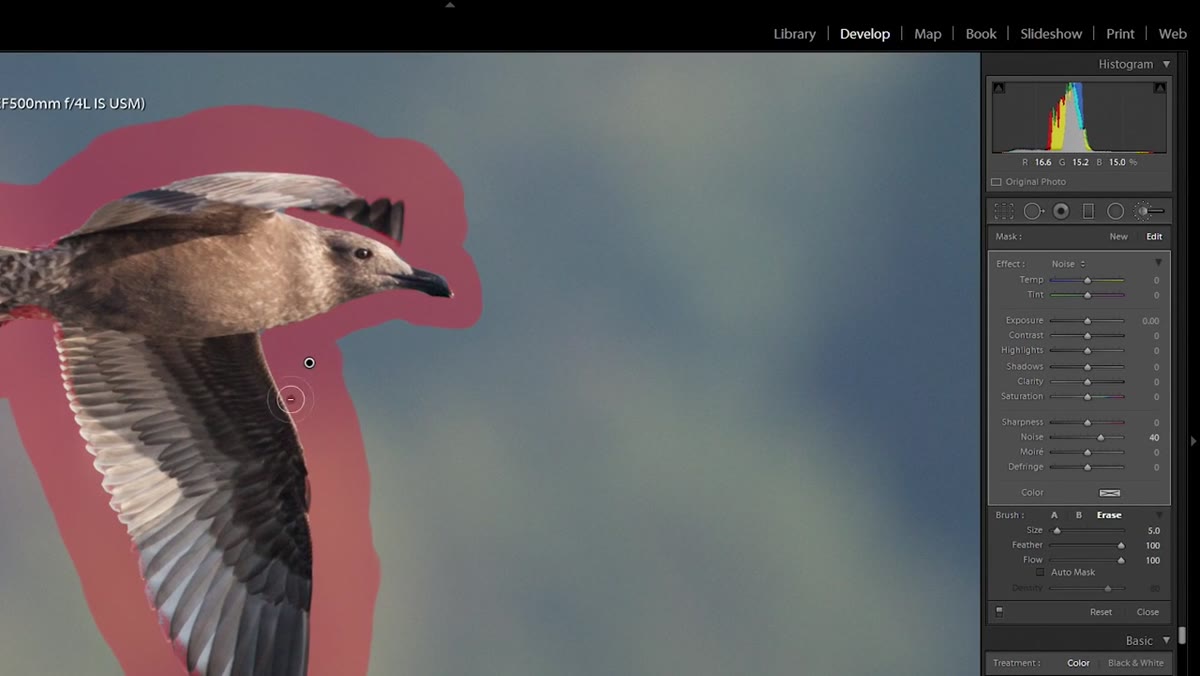 Erase brush cleaning up selection edges near subject