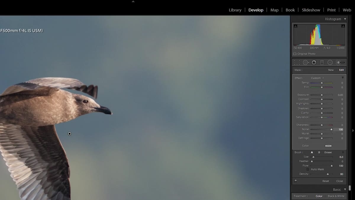 Noise slider pulled up showing before and after background smoothness
