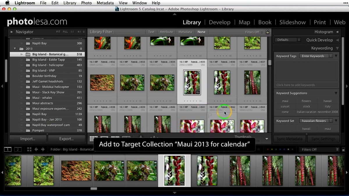 Images selected in grid view before shortcut is pressed