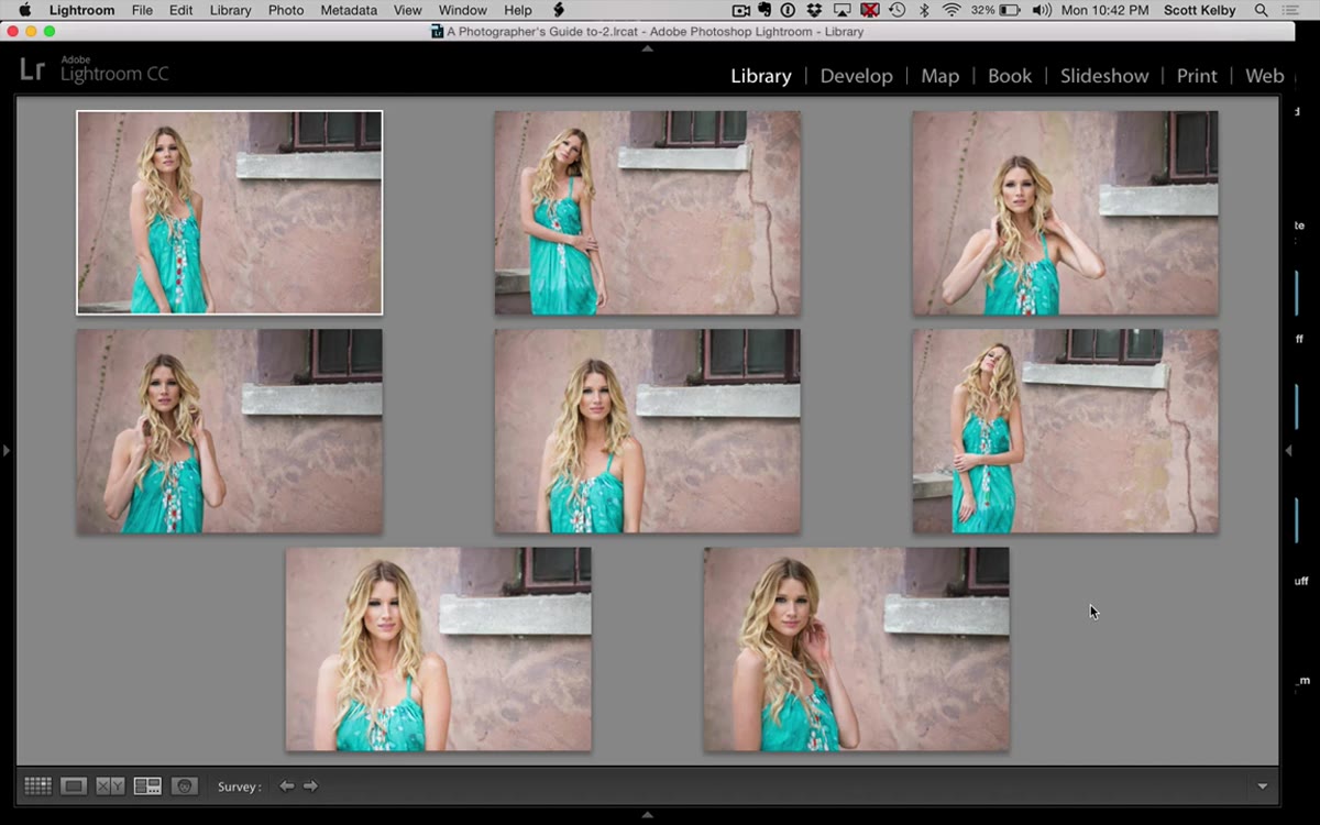 Cursor hovering over a portrait image in Survey Mode