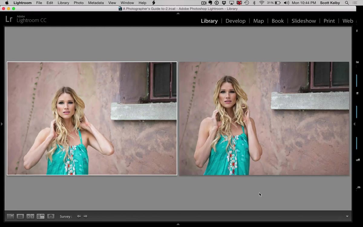 Two nearly identical portrait images remaining in Survey Mode