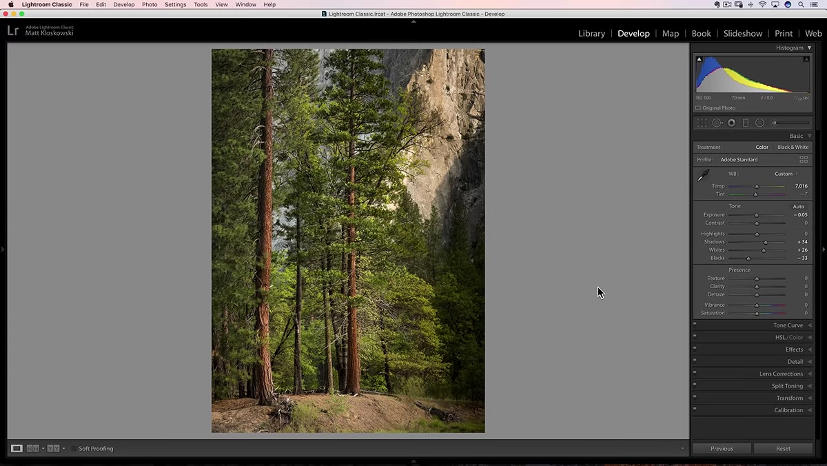 Texture slider introduced alongside Clarity in the Basic panel