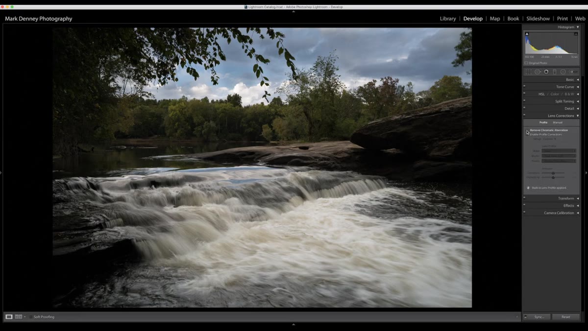 Lens Corrections panel open with profile corrections enabled