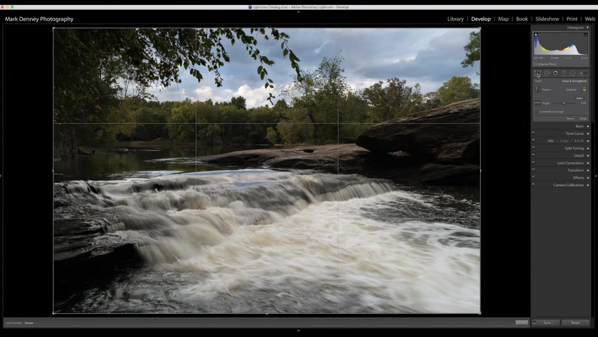 Crop and straighten tool active with grid overlay on horizon