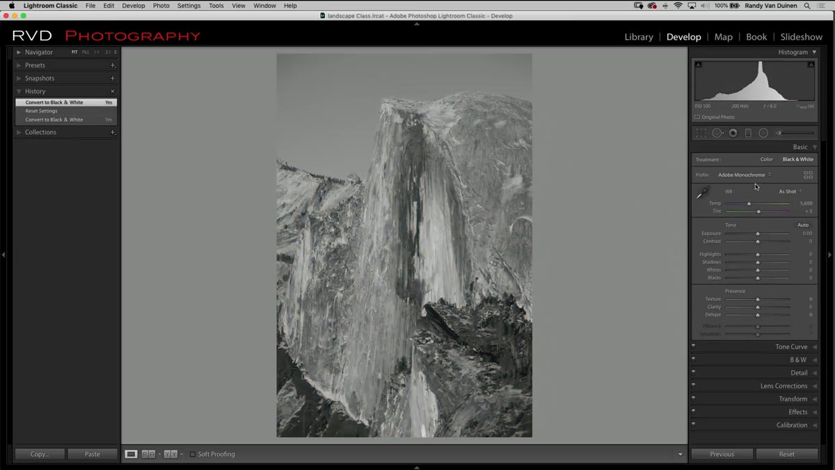 Clicking the black and white conversion button in Lightroom