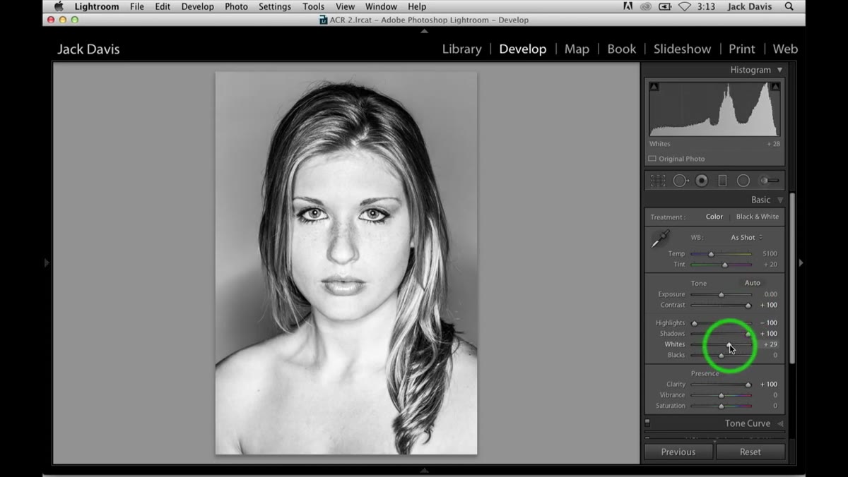 Whites and Blacks sliders being adjusted to refine tonal endpoints