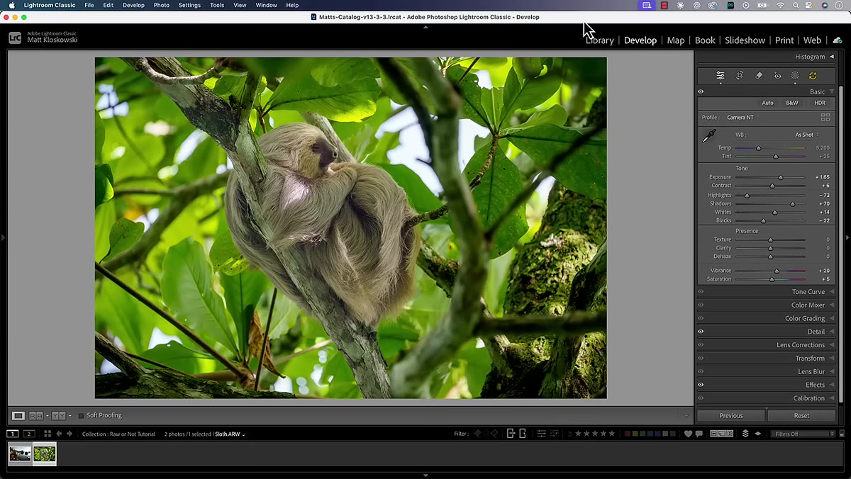 Lightroom Classic develop module showing Sony ARW file info at bottom