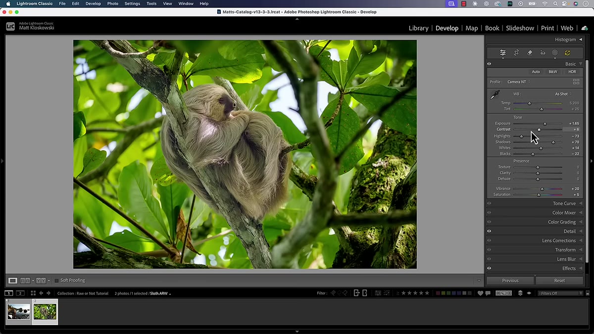 Before and after toggle showing darkened highlights on wildlife photo