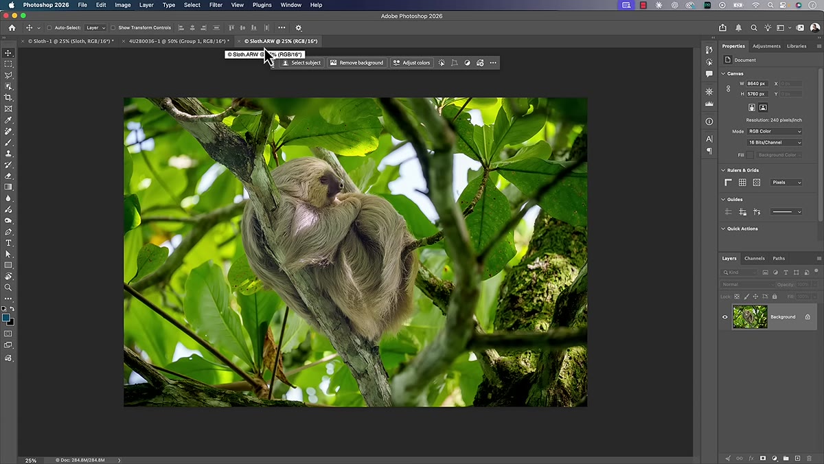 Photoshop interface showing ARW filename in tab with layers panel visible