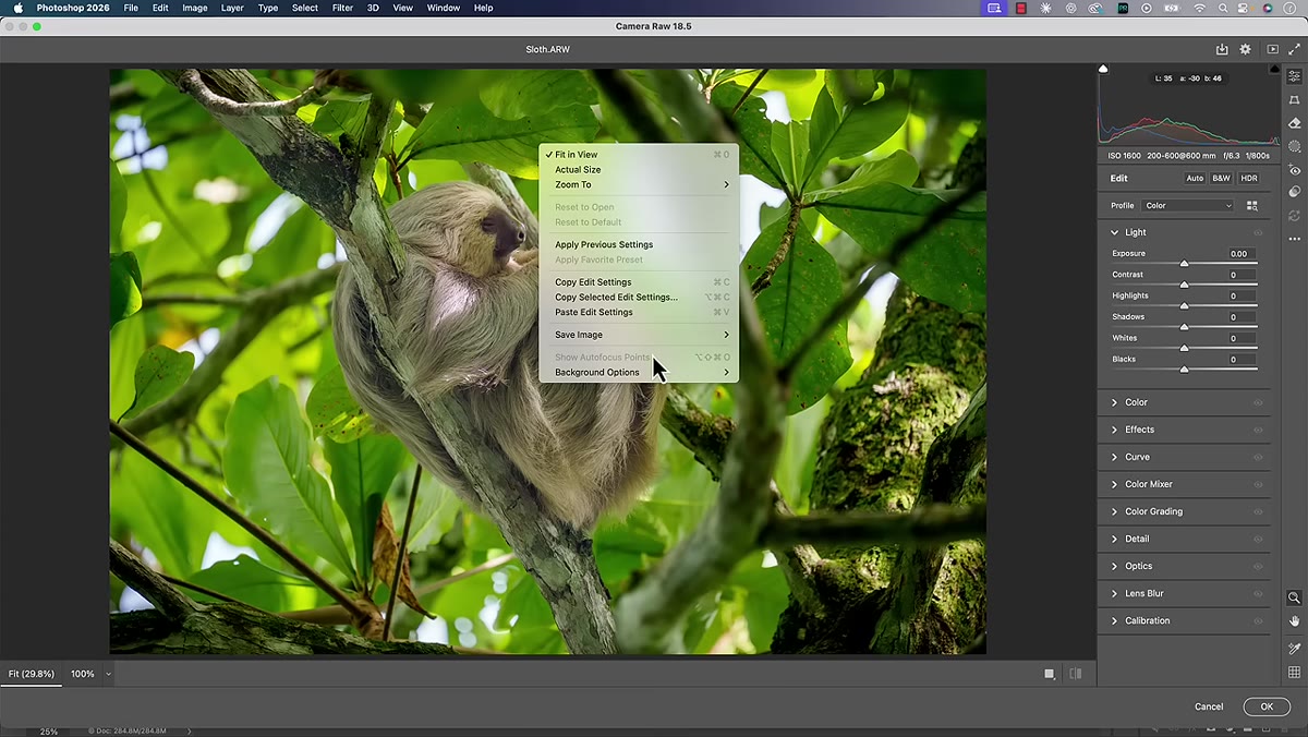 Autofocus points option grayed out in Camera Raw filter context menu