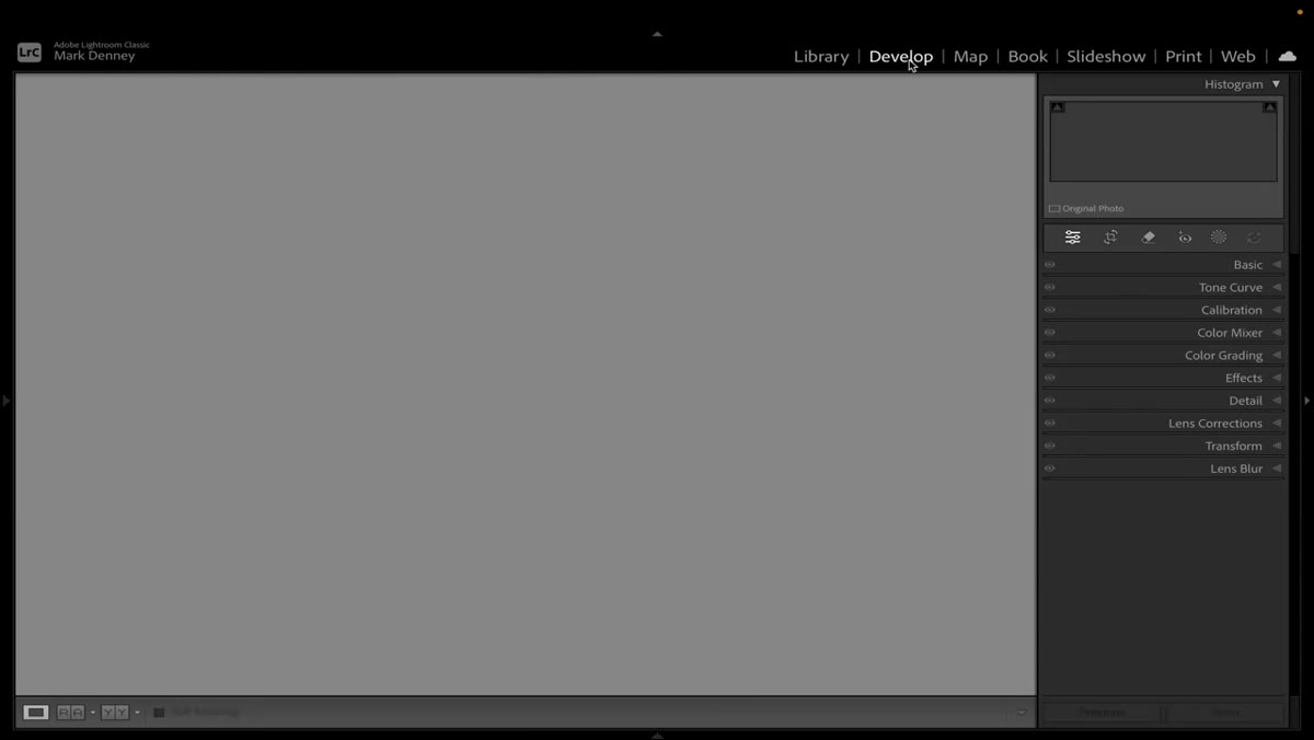 Raw file displayed alongside a virtual copy in Develop module