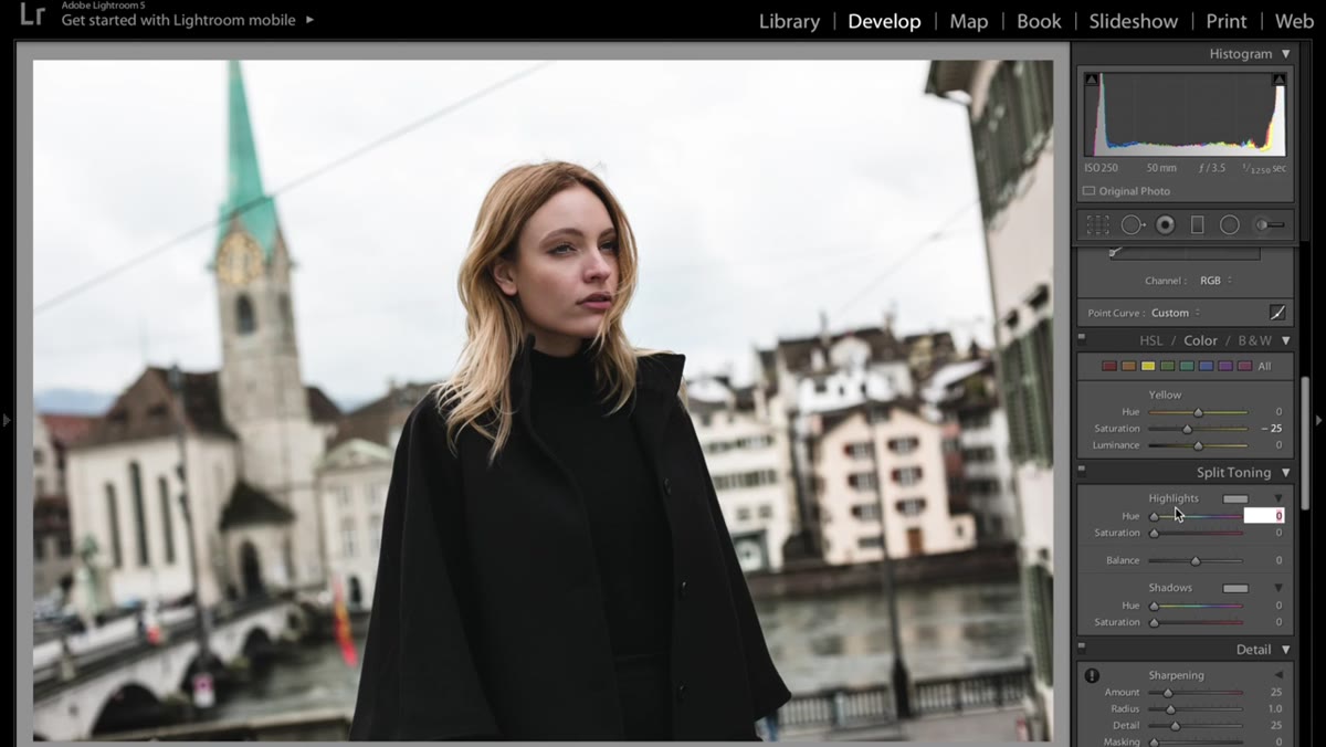Color grading or tone curve highlight selector with faint blue tint applied
