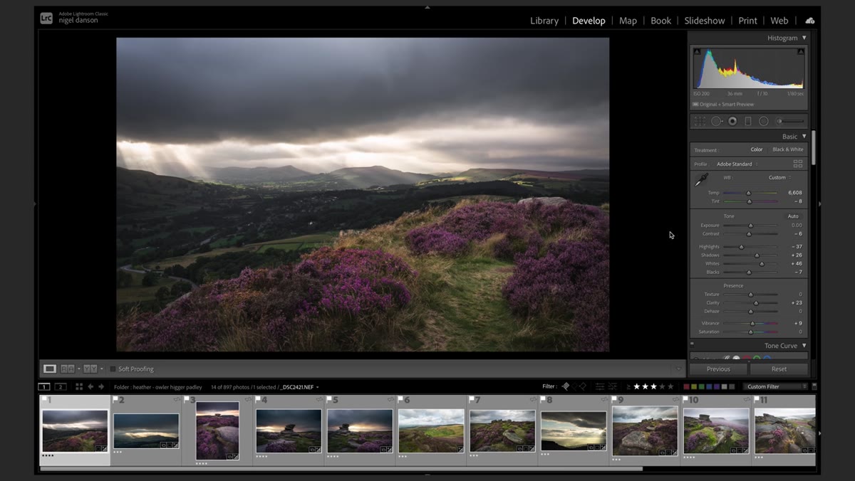 Before and after toggle showing preset applied to heather scene