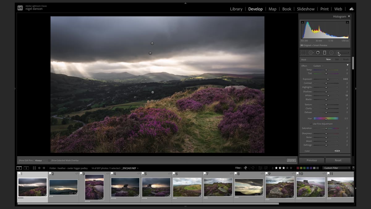 Graduated filter removed, adjustment brush selected in develop module