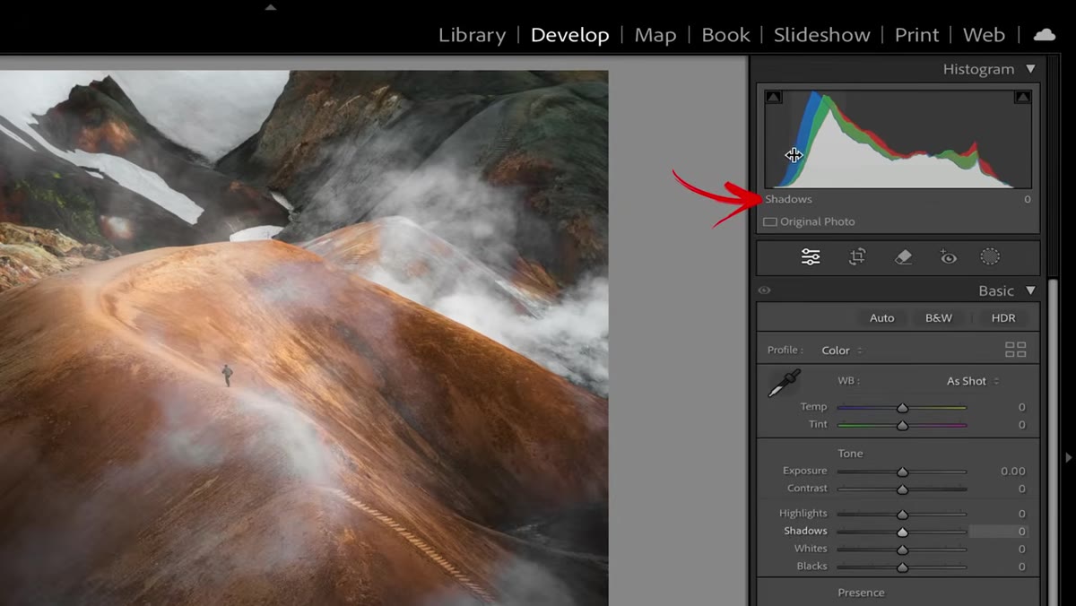 Histogram with labeled tonal zones in the Basic panel