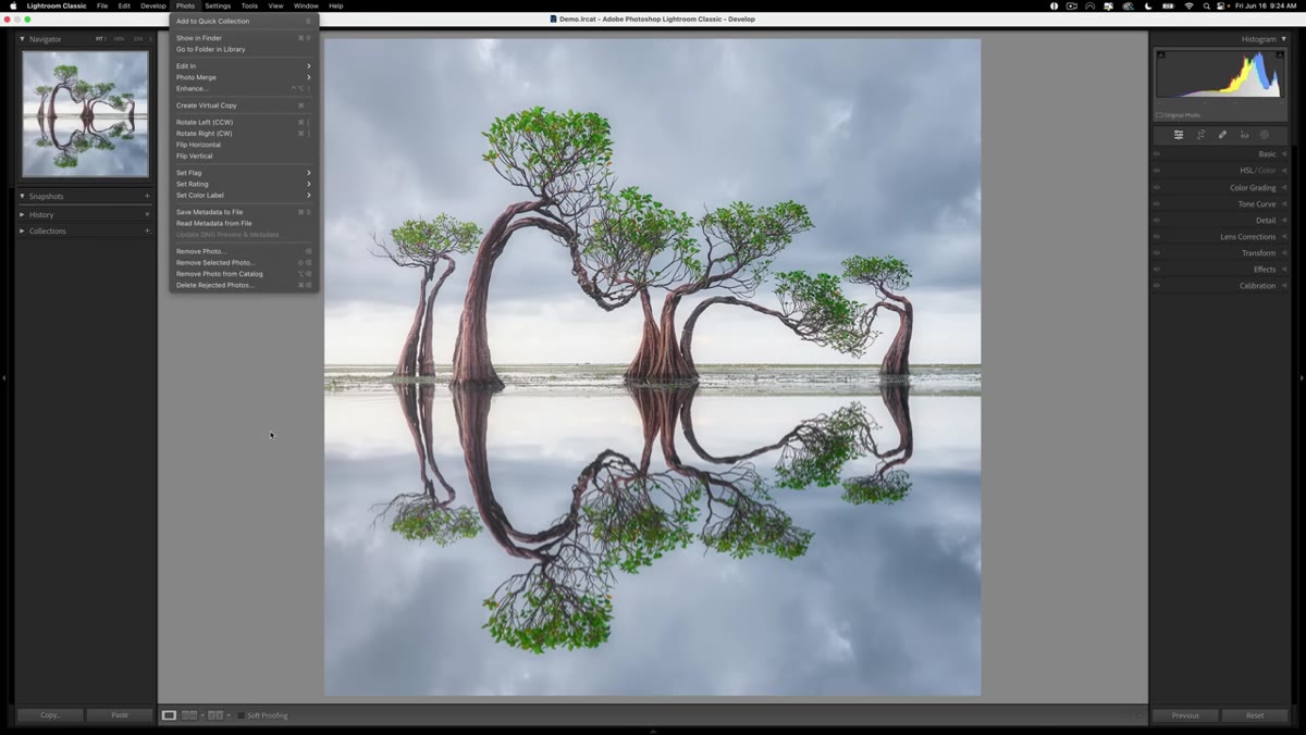 Lightroom Photo menu open, &ldquo;Edit In&rdquo; option highlighted