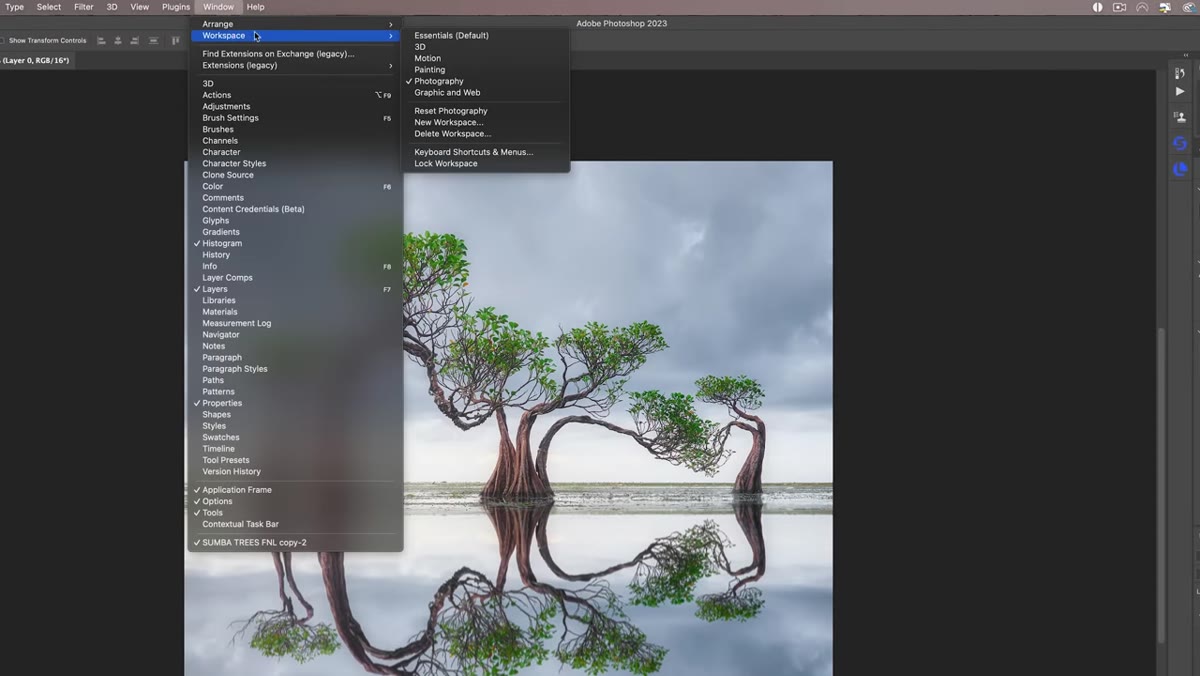 Photoshop Window menu open, Workspace submenu showing &ldquo;Photography&rdquo; selected