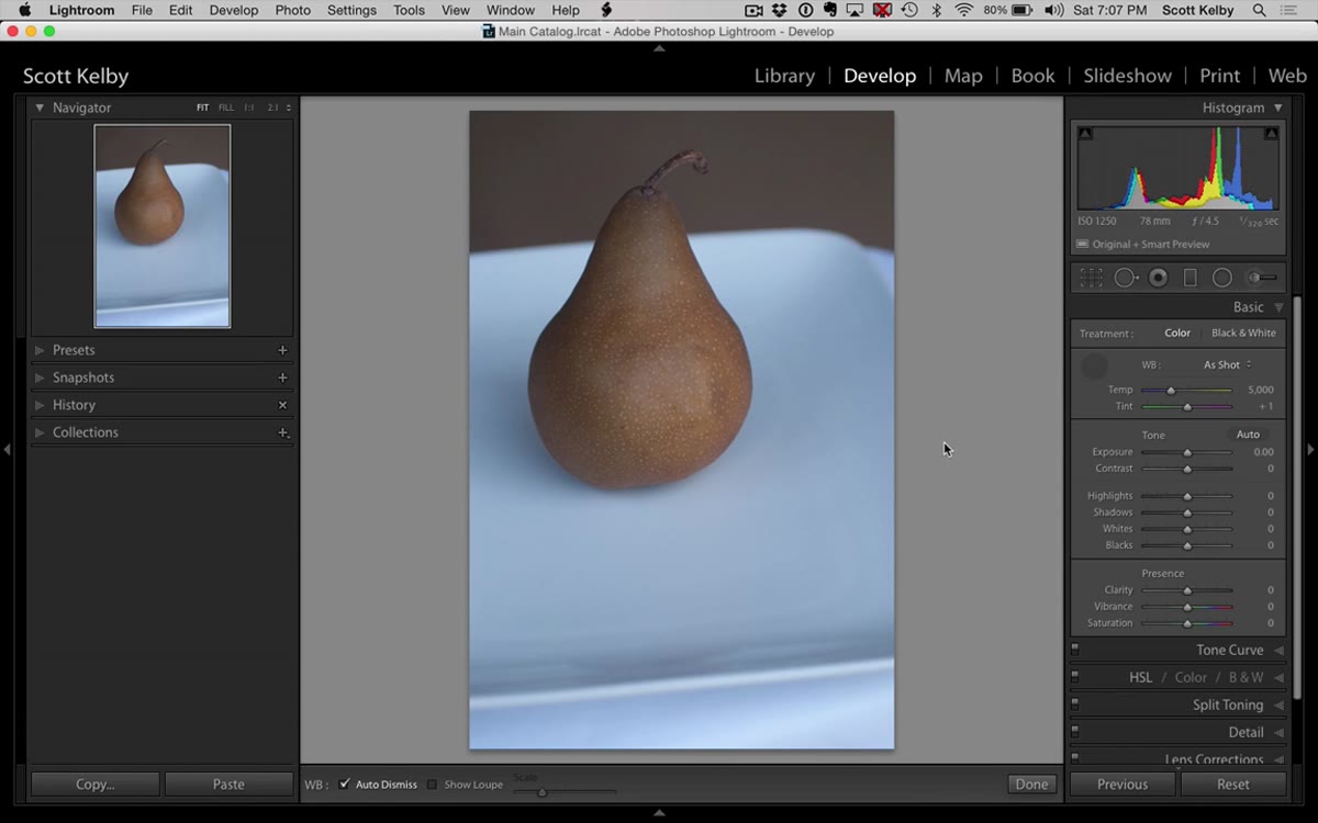 Navigator panel showing live white balance preview as cursor moves