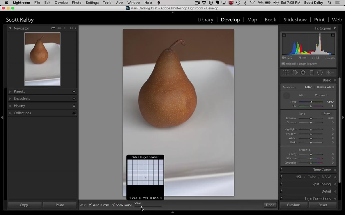 White balance tool options bar showing Scale slider