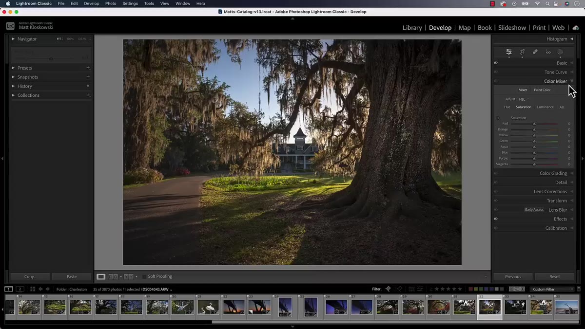 Color Mixer and Basic panels both open simultaneously in Develop