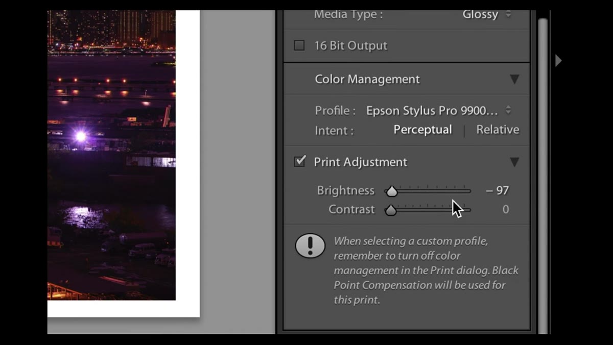 Print Adjustment section at the bottom of the Print module panel
