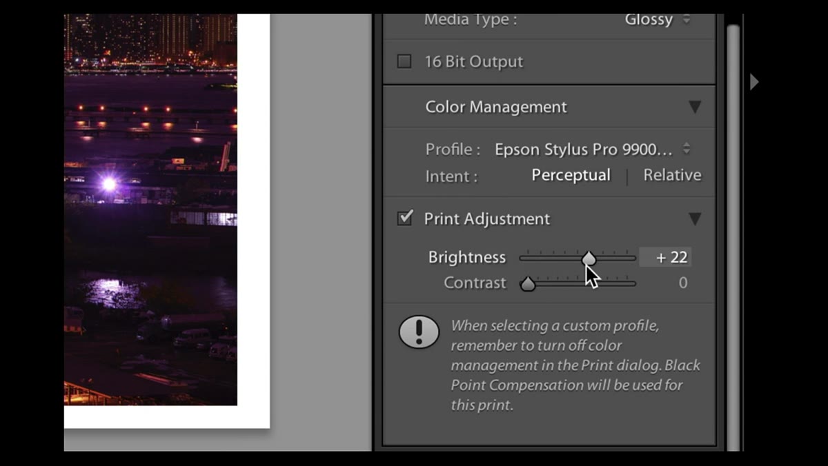 Brightness slider being adjusted in the Print Adjustment section