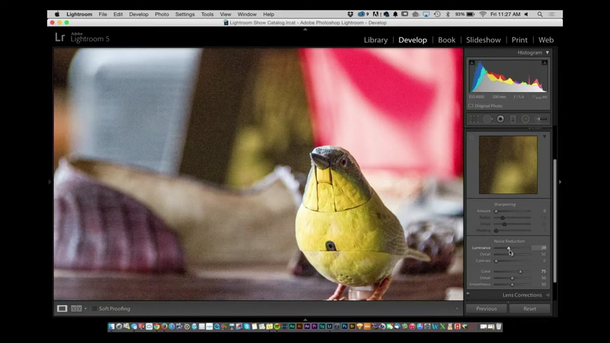 Luminance noise reduction slider applied to bird photo