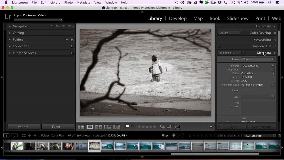 Library module metadata panel scrolled into view